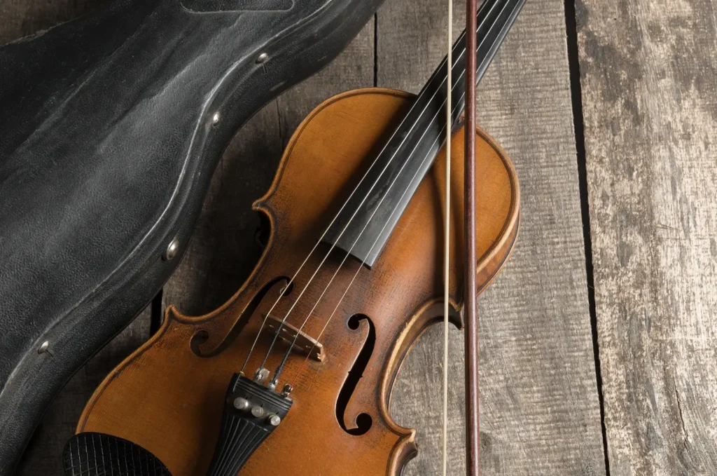 violina kraljica orkestra